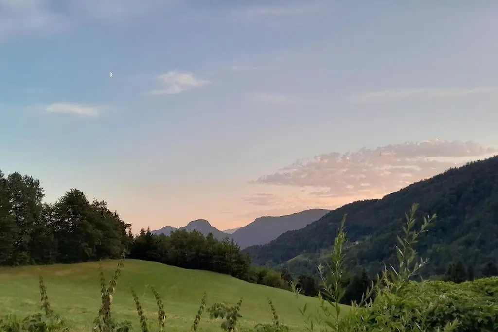 Petit Chalet Authentique La Blonniere