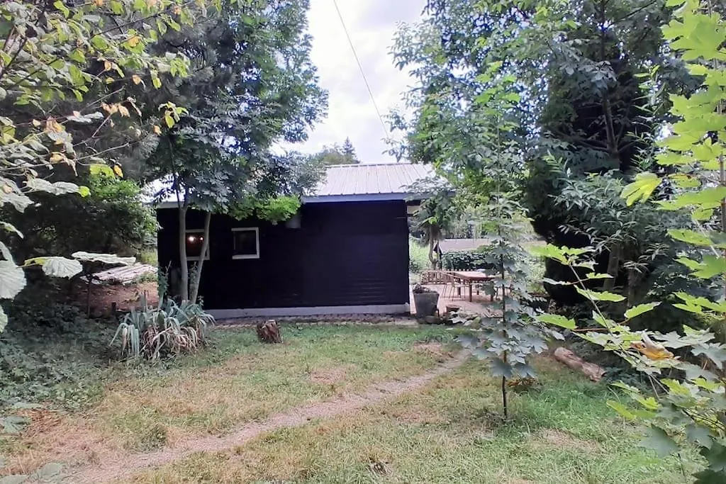Petit Chalet Authentique La Blonniere 0*,